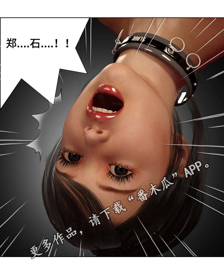 第27章：跟踪6
