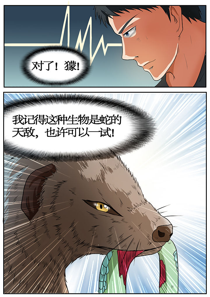 第49章：4