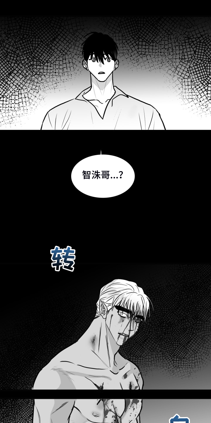 第84章：【第二季】奇异的梦15