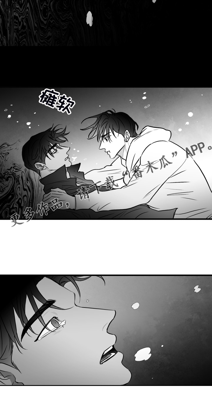 第72章：【第二季】明明活的很努力22