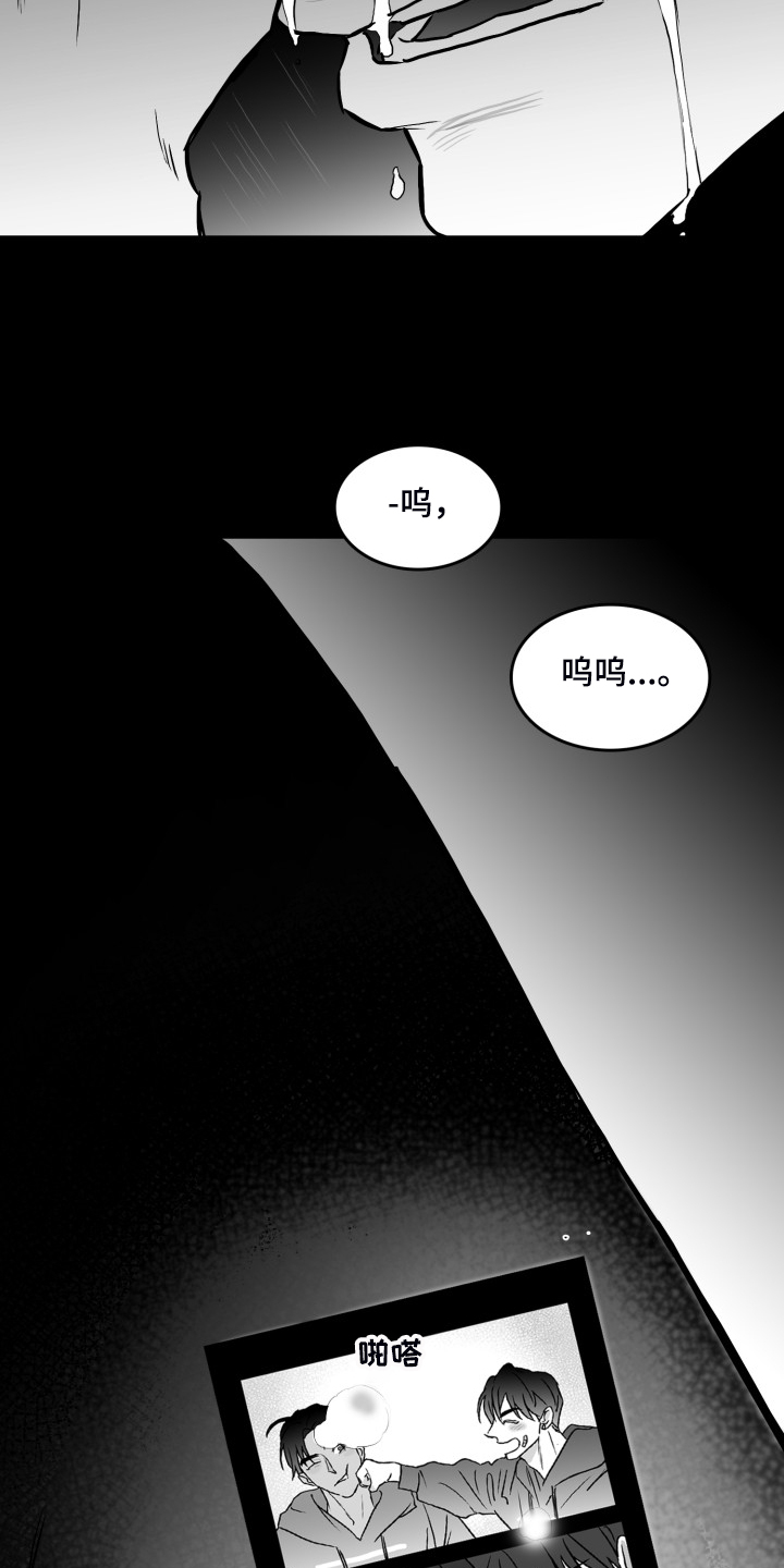 第55章：【第一节完结】那些回忆14