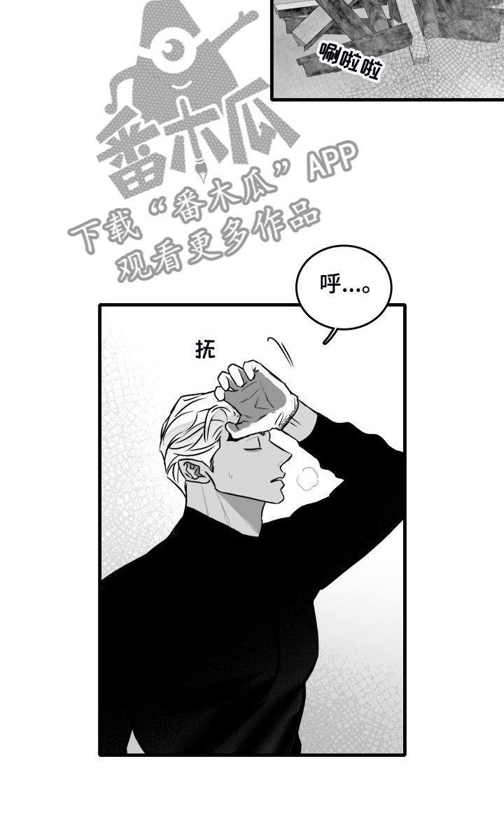 第92章：【第二季】悠哉的乡下13