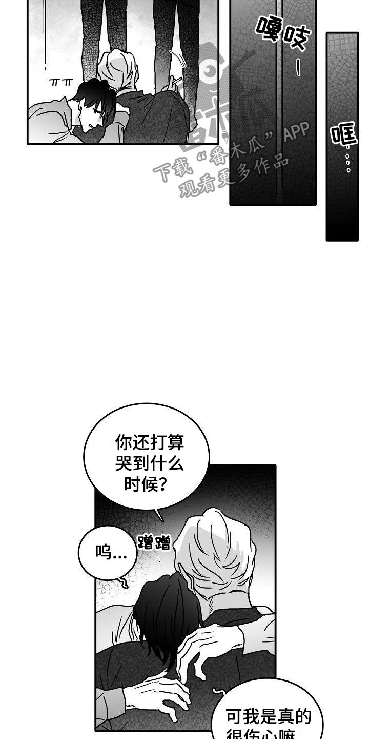 第17章：新的开始13