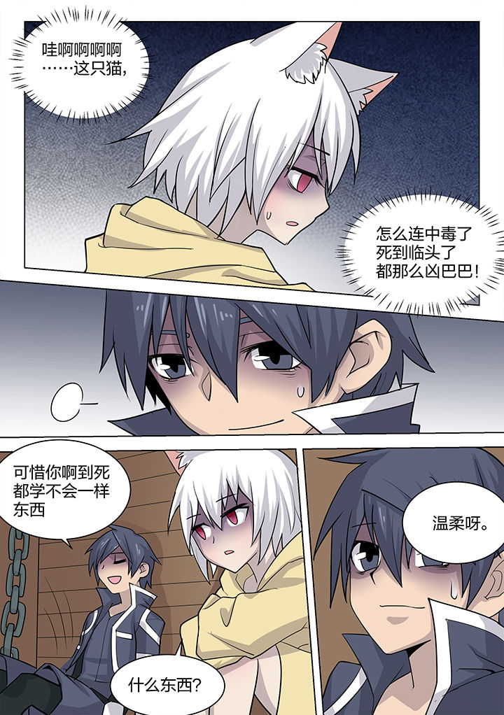 第177章：7