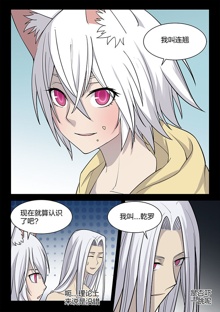 第194章：5