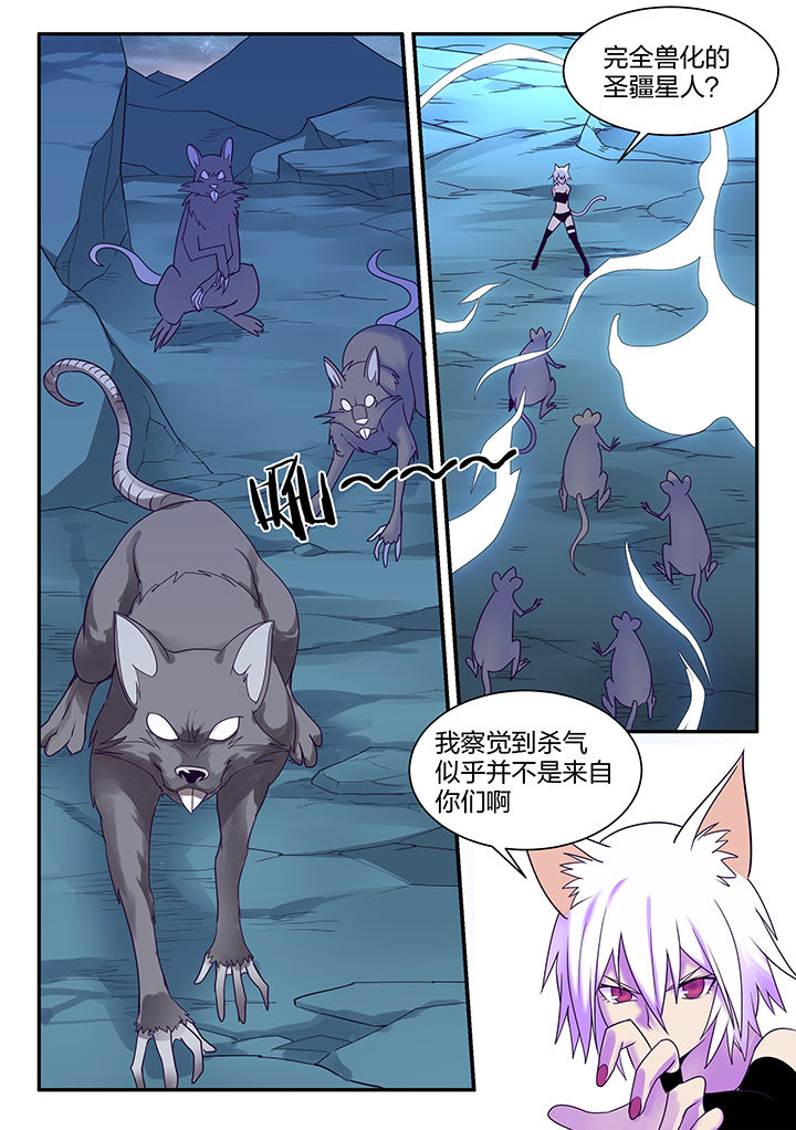 第144章：5