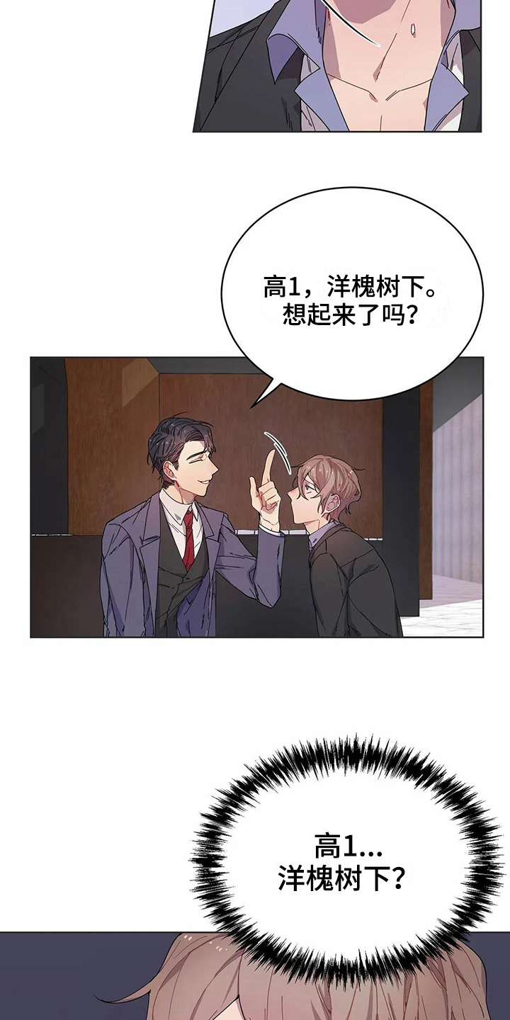 第8章：提示12