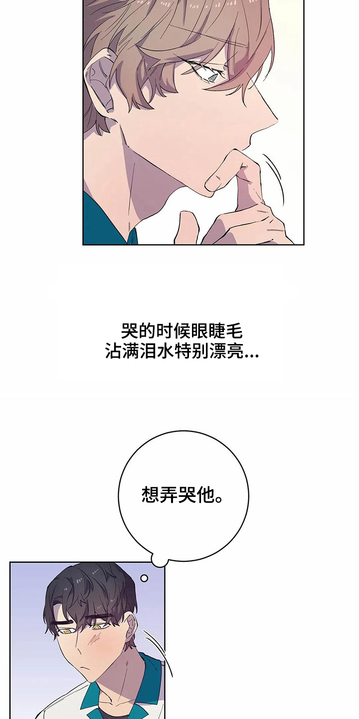 第29章：吸引力17