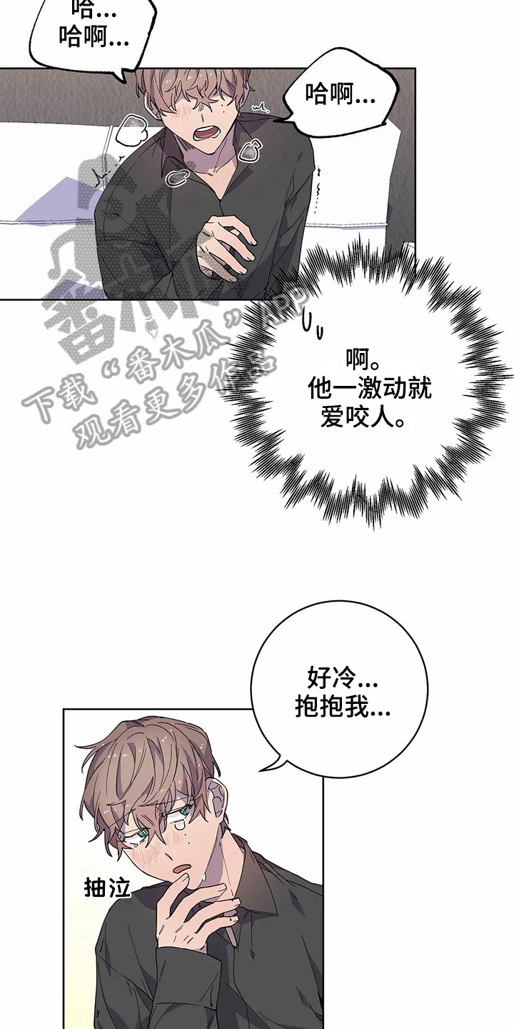 第21章：猜测4