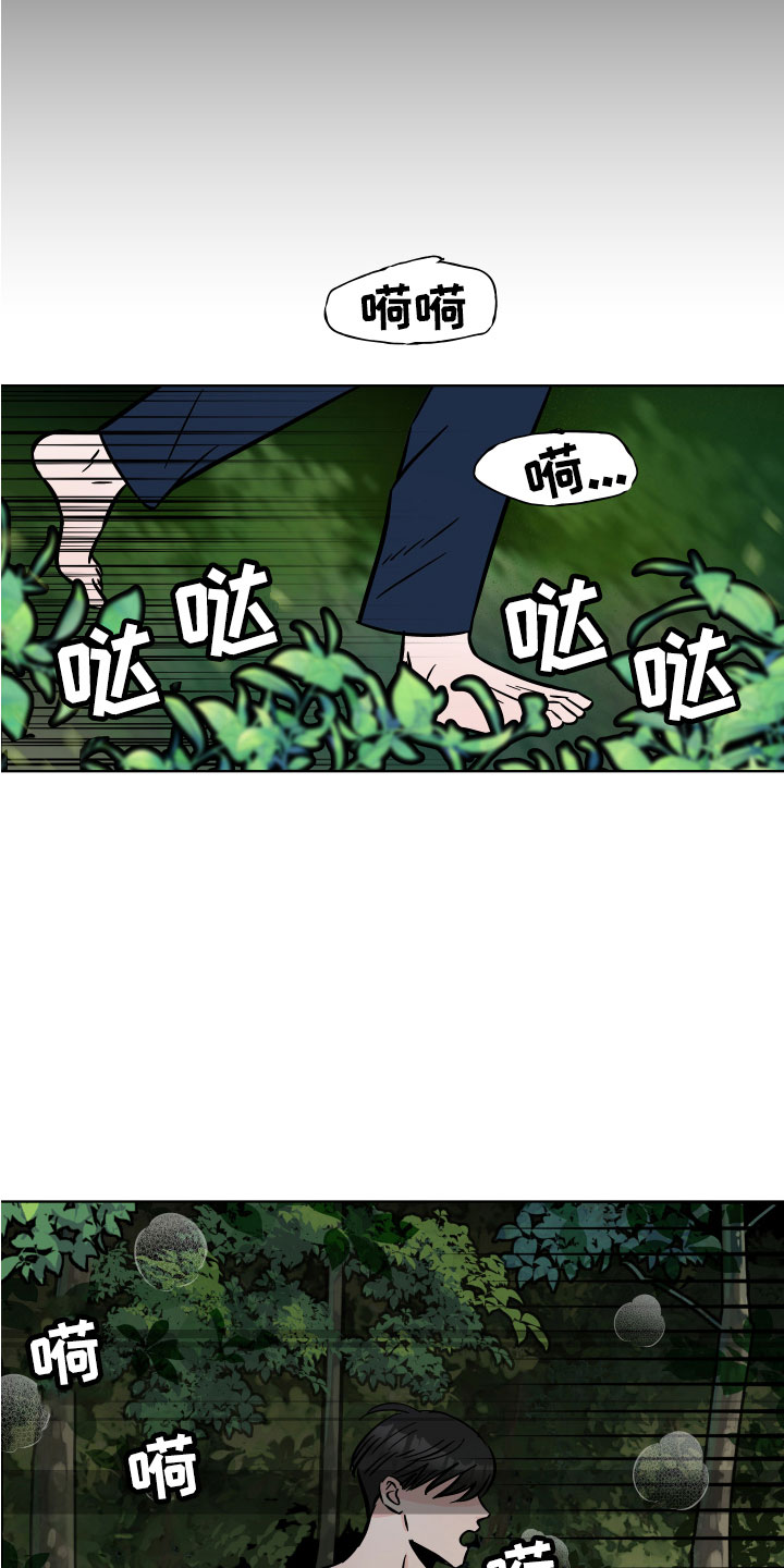 第8章：野外被袭25