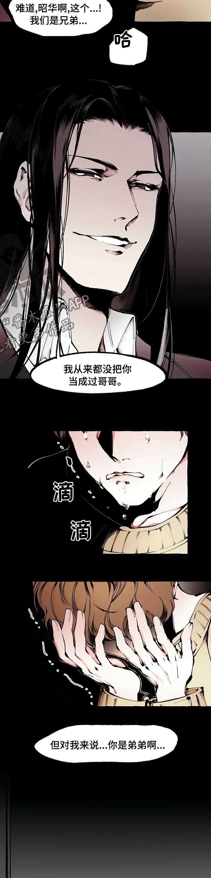 第48章：从没把你当哥哥2