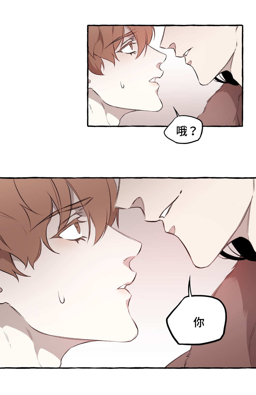 第13章：好看8
