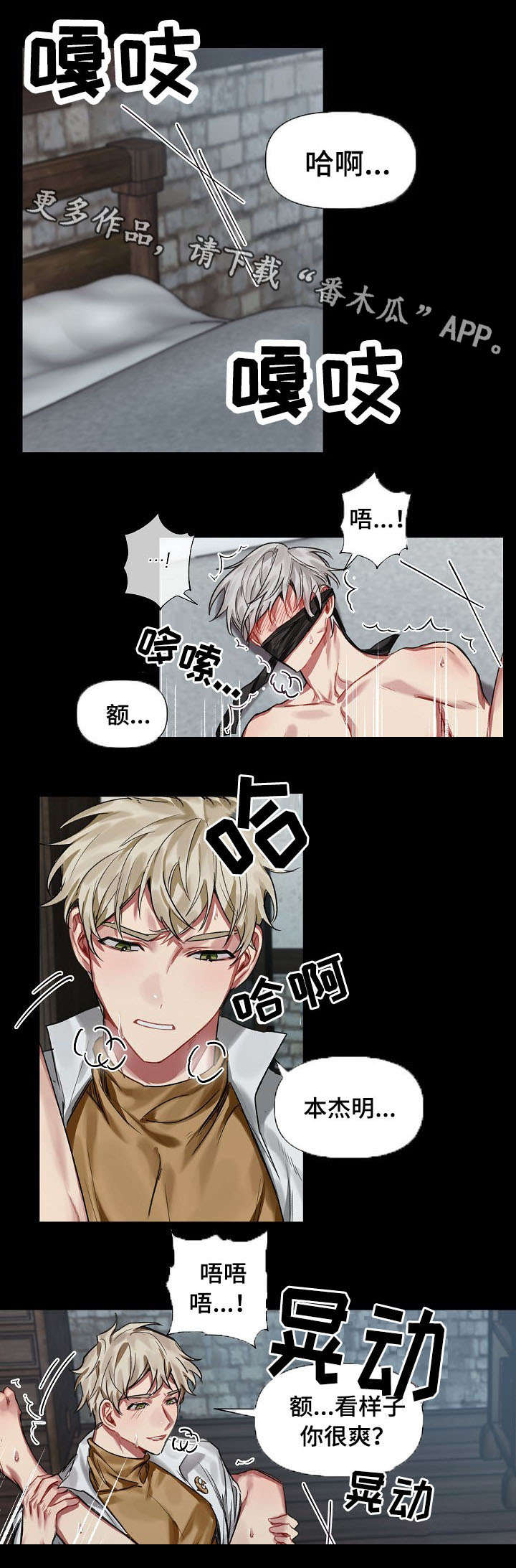 第20章：魔法石0