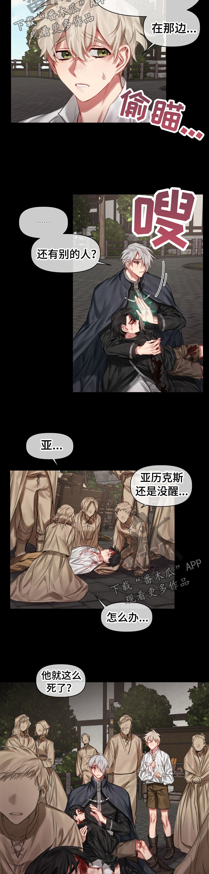 第29章：二选一4