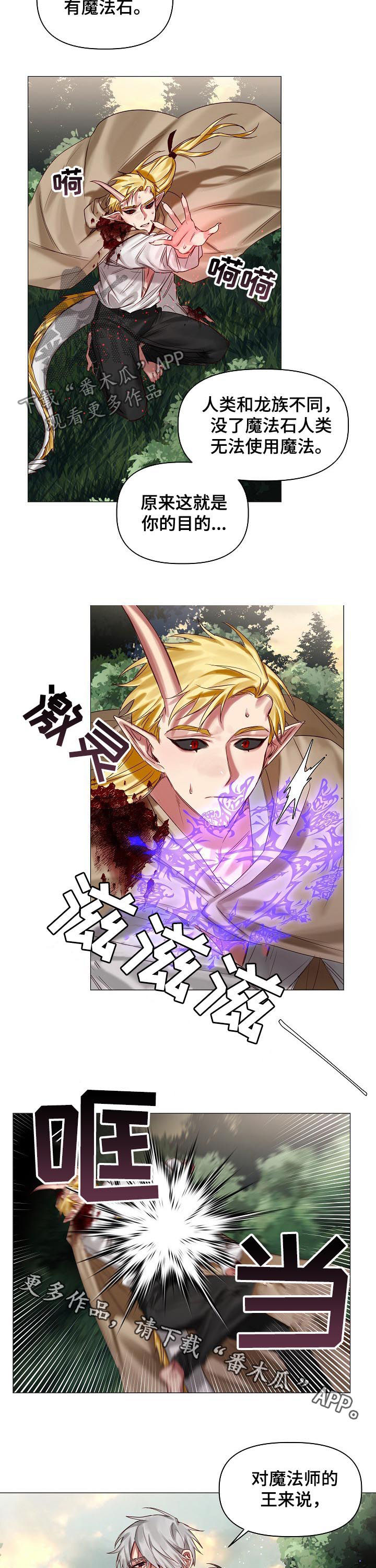 第40章：保守的手段7