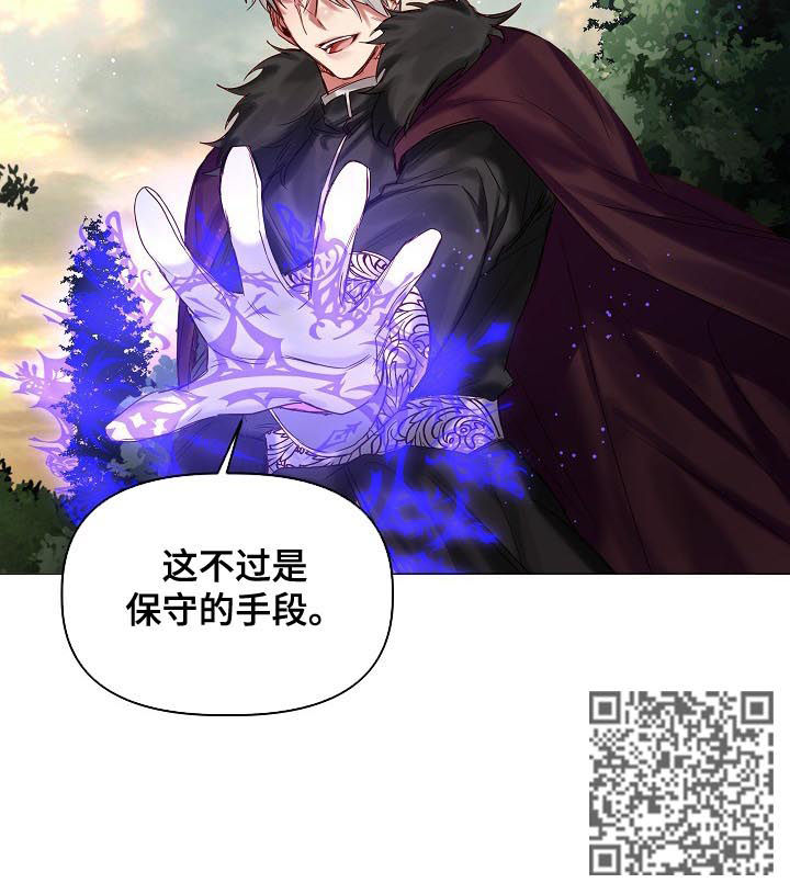 第40章：保守的手段8