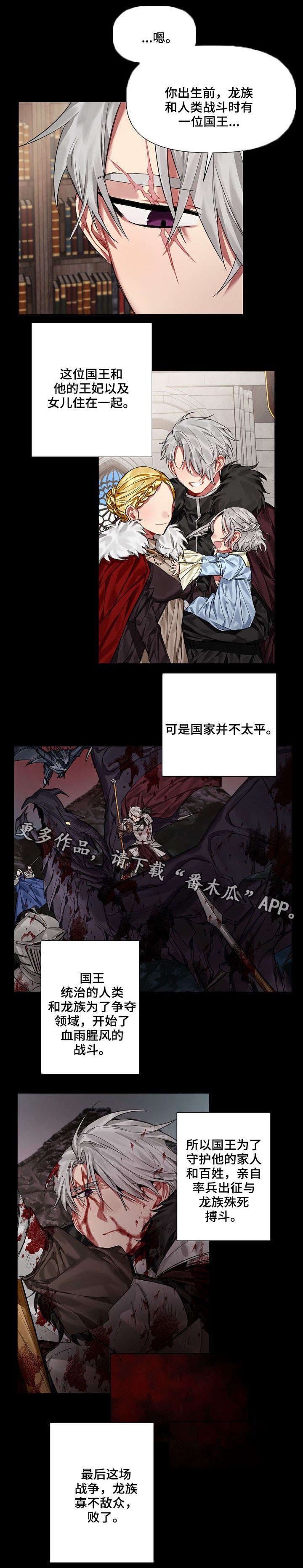 第18章：王与龙7