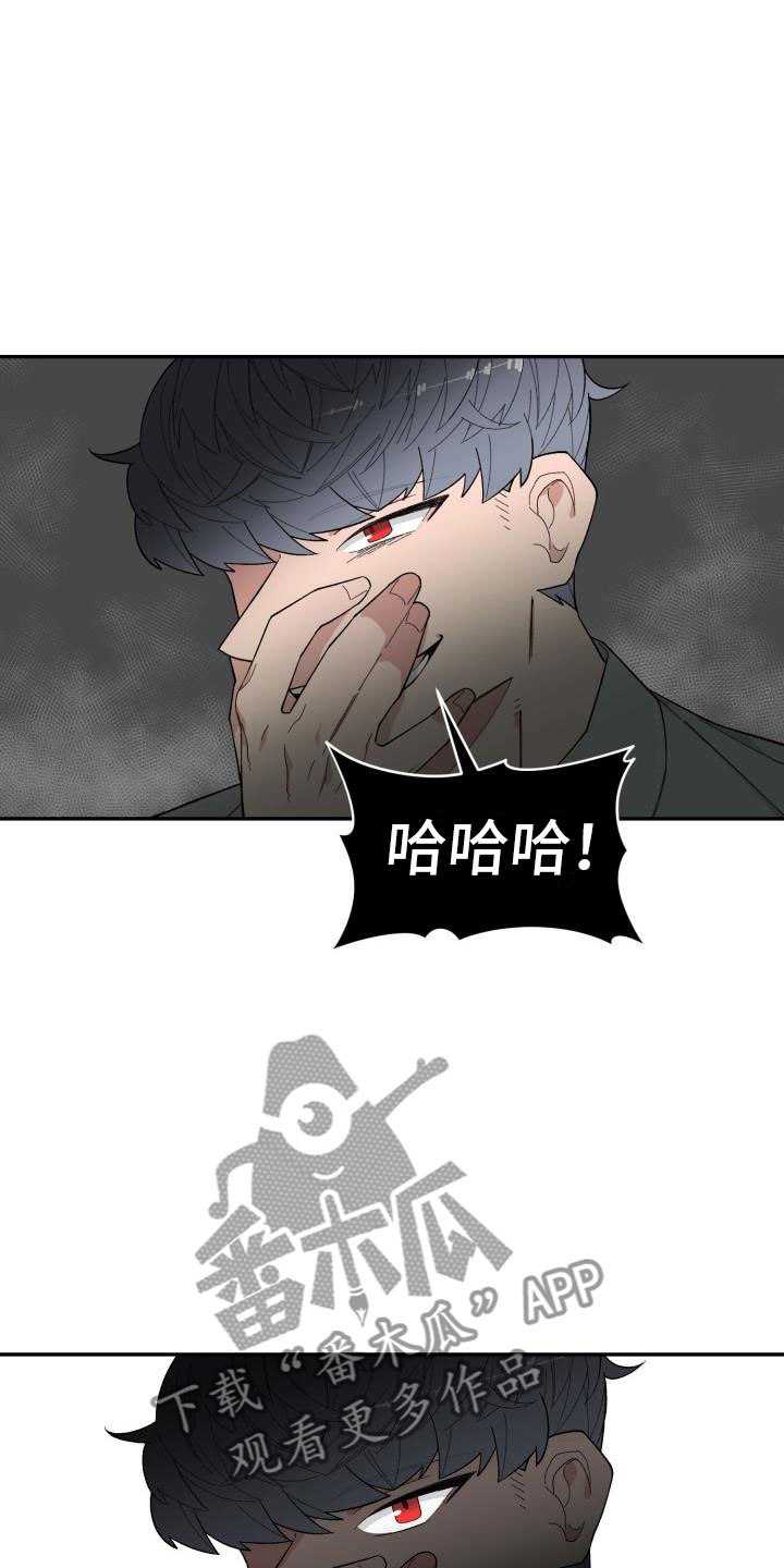 第21章：区别4