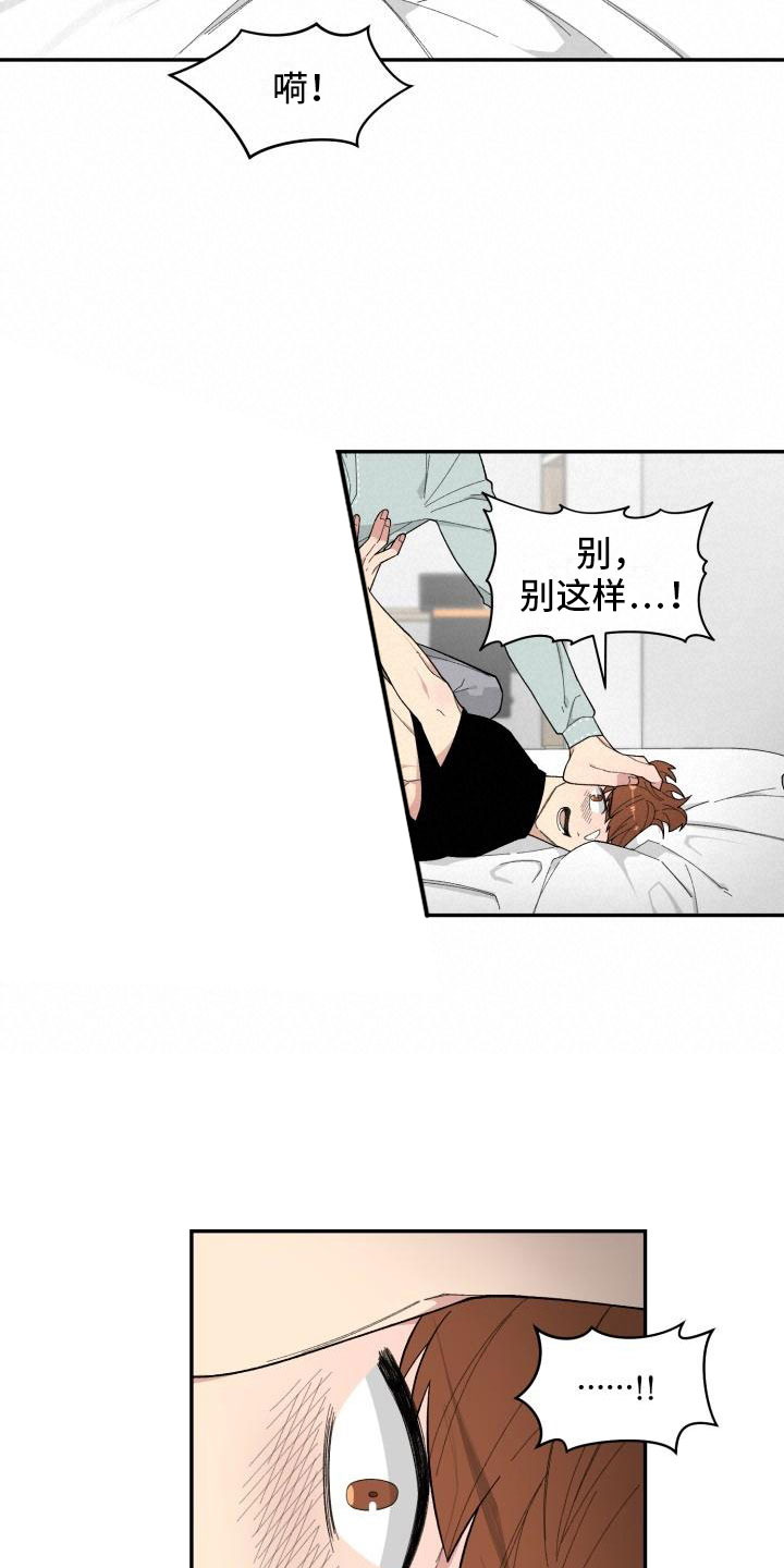 第21章：区别15