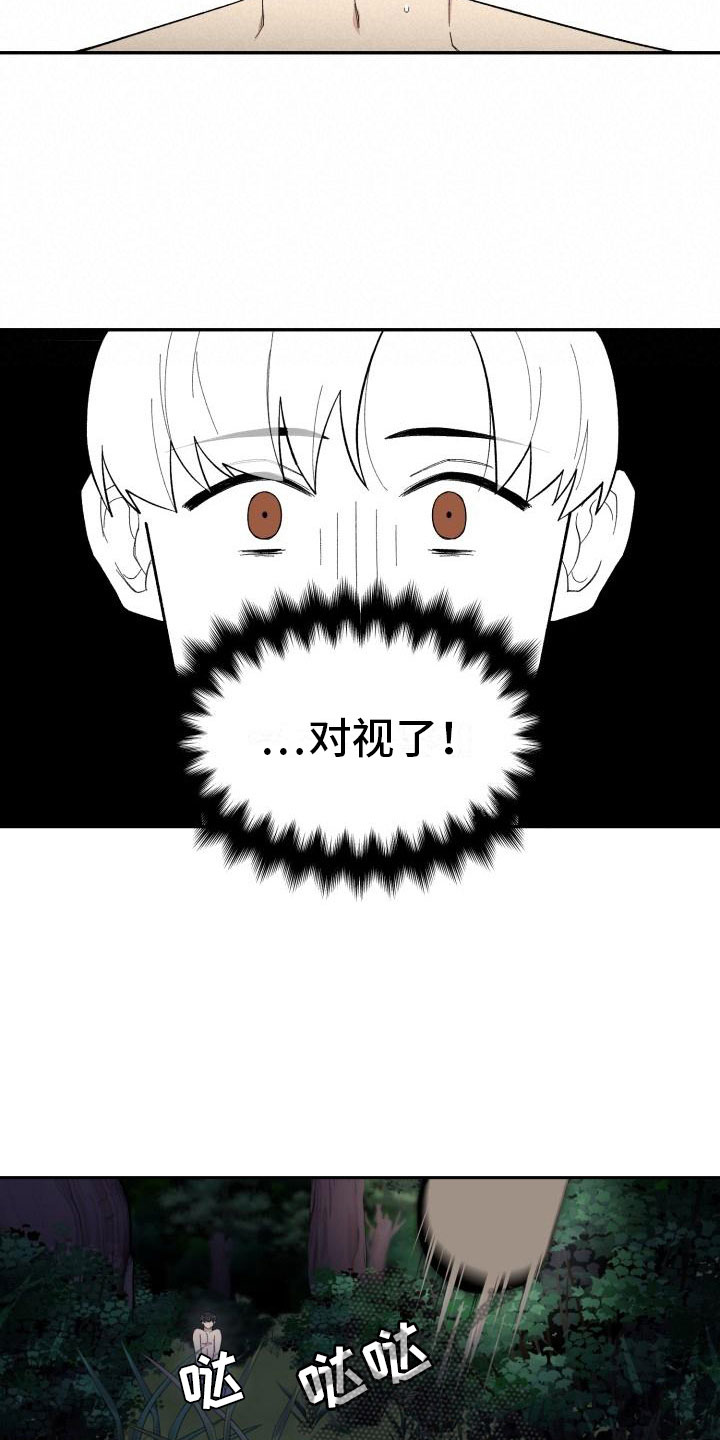 第32章：野营12