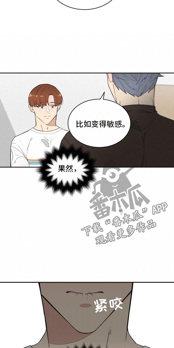 第17章：决定15