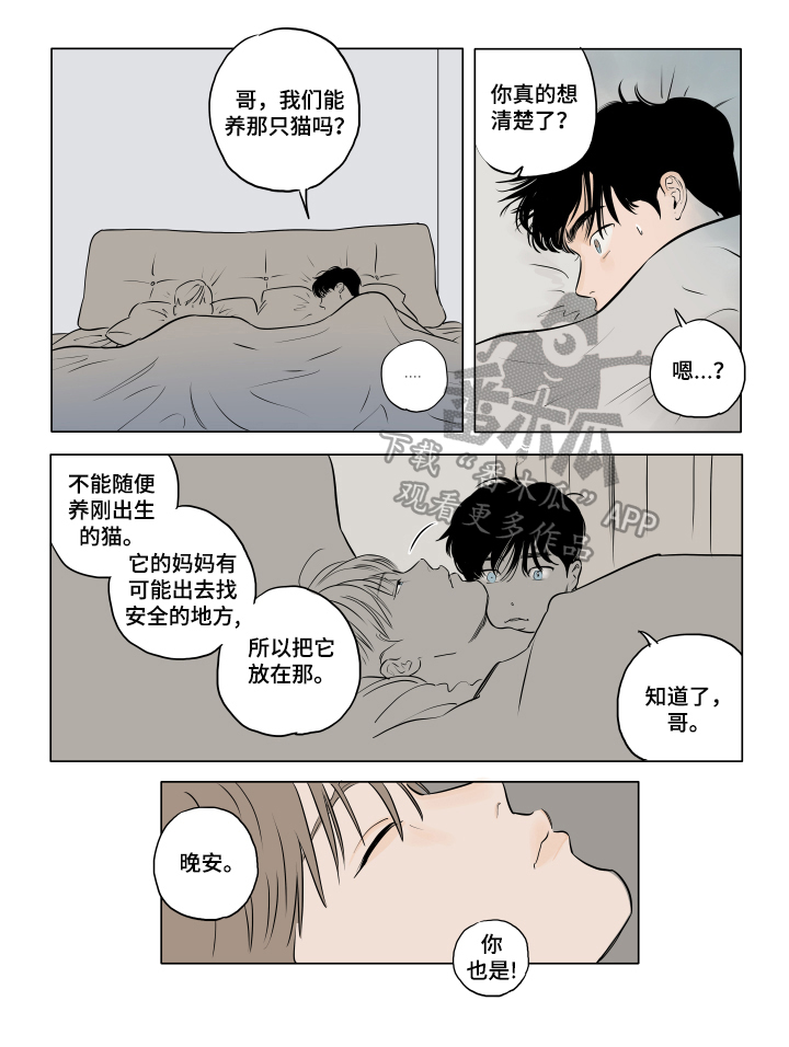第20章：保持可爱（完结）7