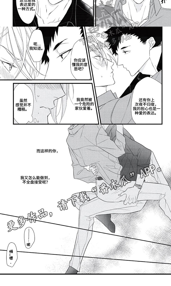 第17章：表达方式5