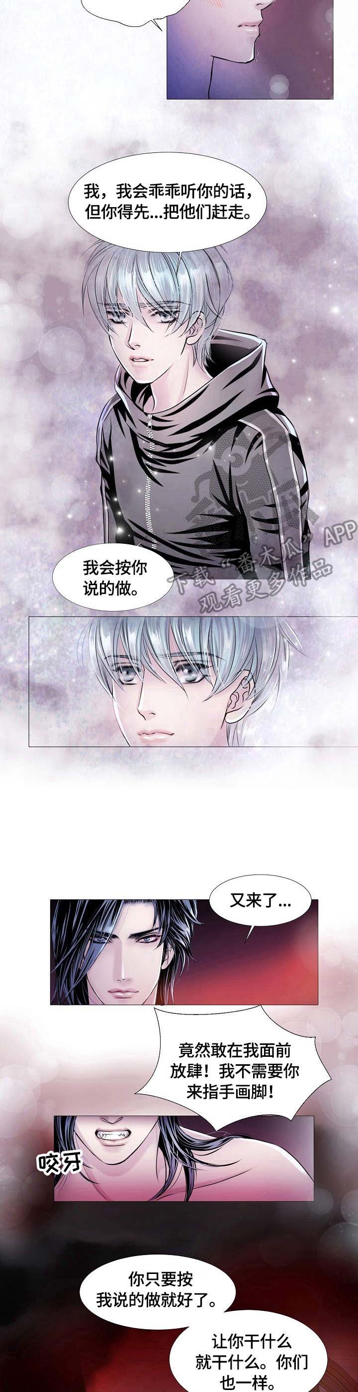 第25章：放肆5