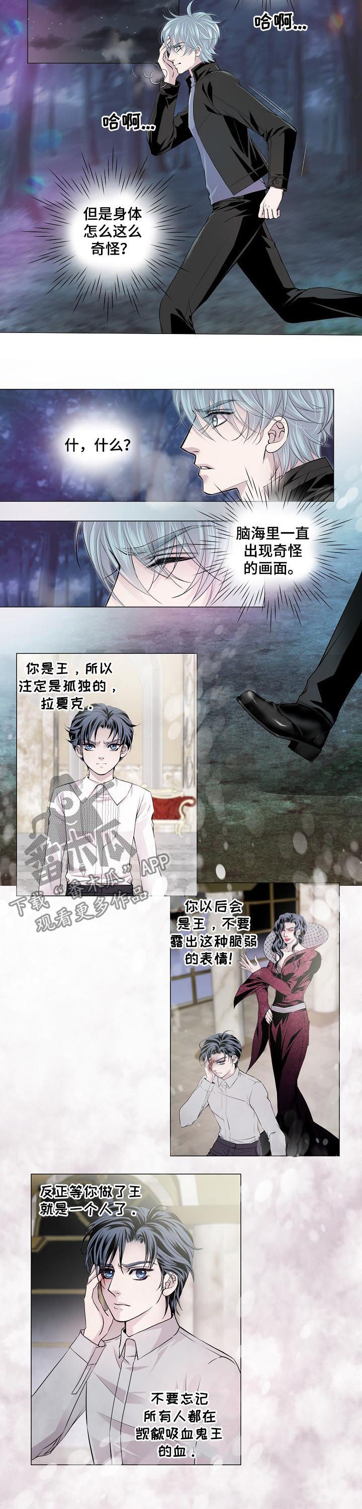 第155章：秘密通道1