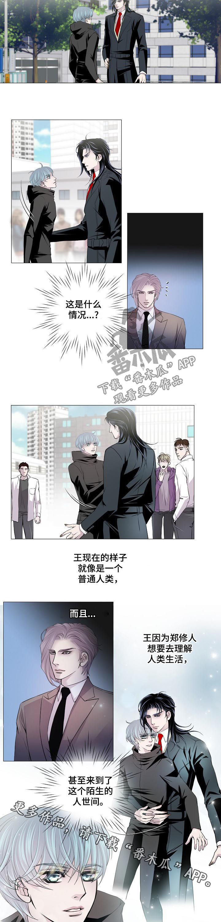 第141章：低调解决5