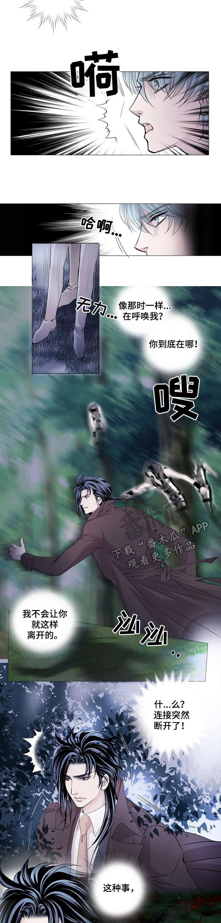 第110章：筹码4