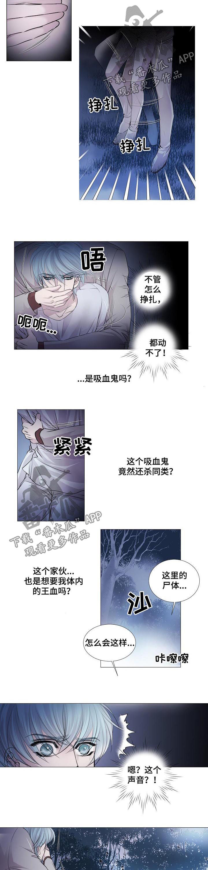 第110章：筹码1