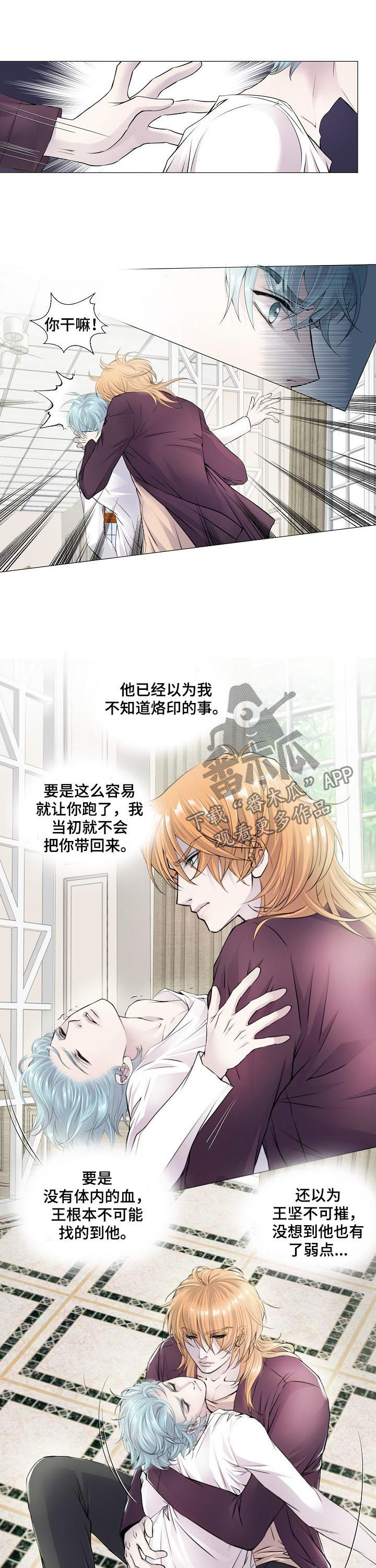 第114章：混血9
