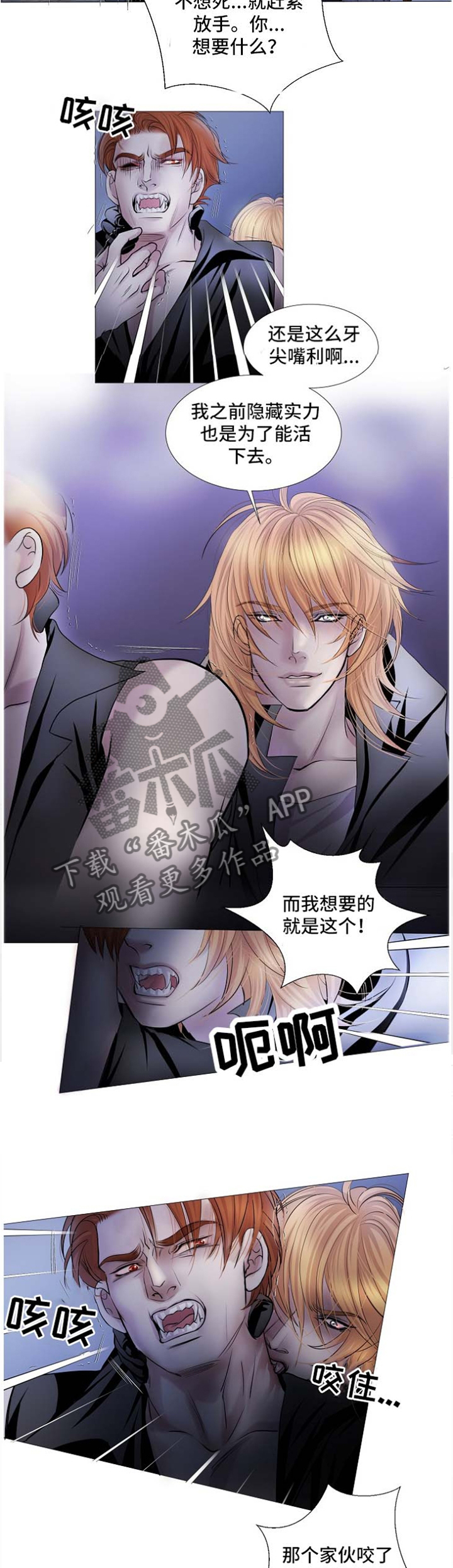 第56章：平凡的度过5