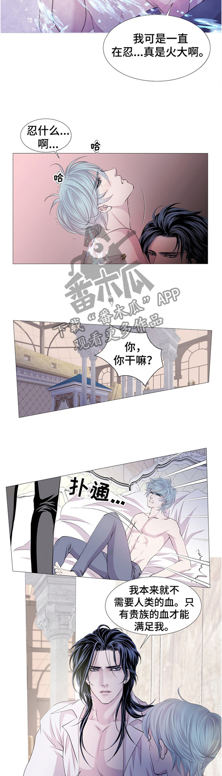 第47章：顾忌6