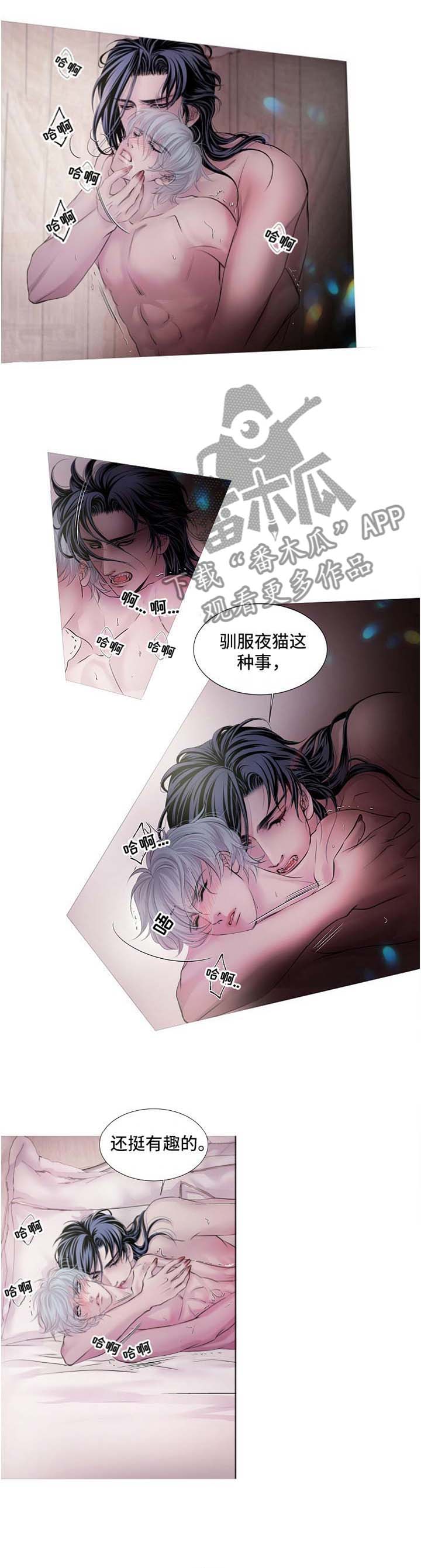 第51章：把他交给我吧0