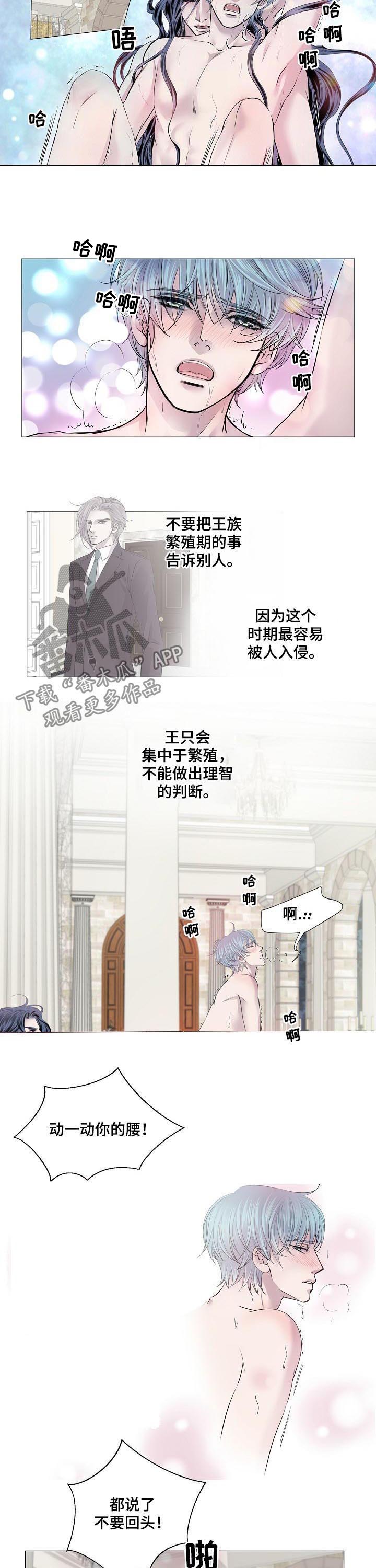 第160章：不要回头4