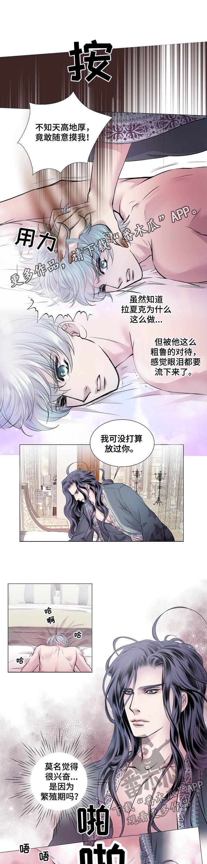 第159章：量身定做0