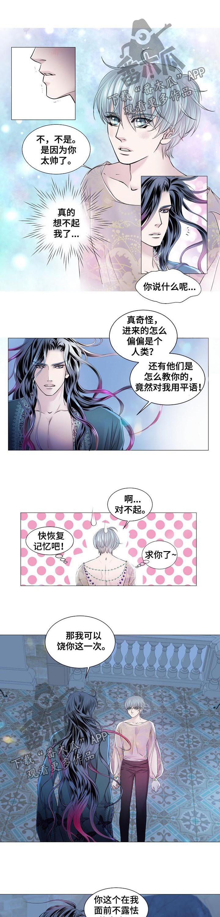 第157章：失去记忆5