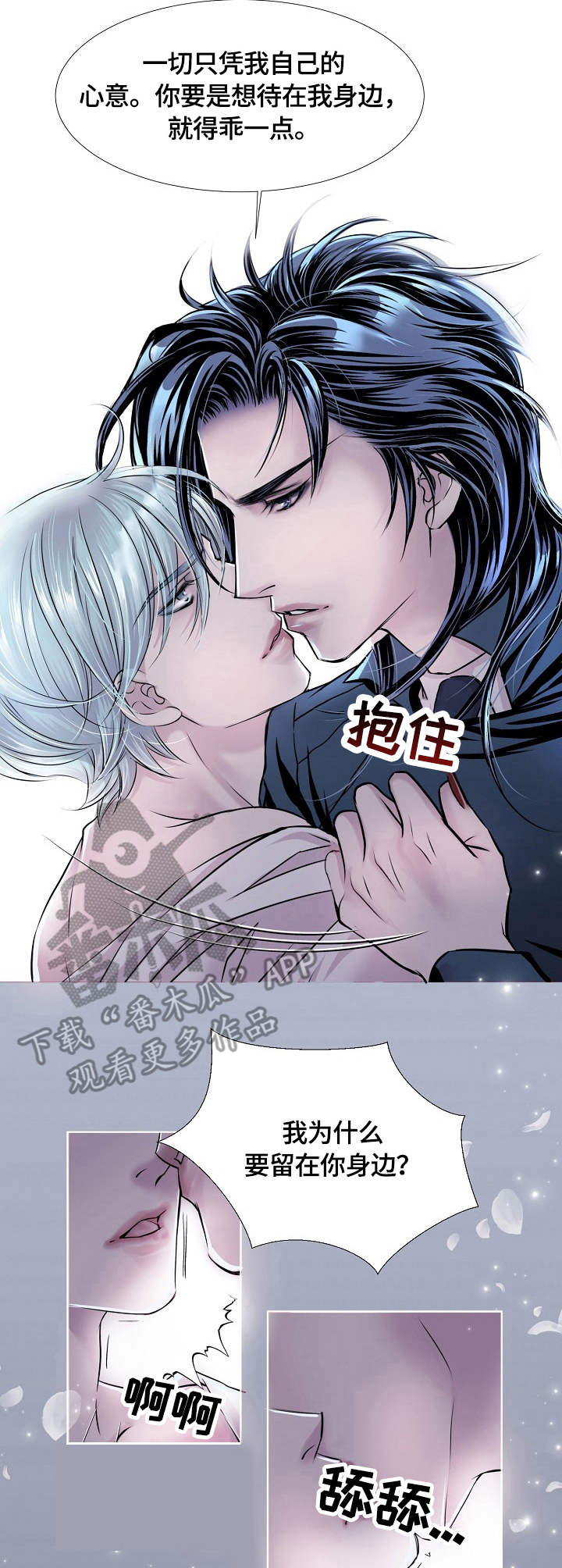 第18章：兴趣6