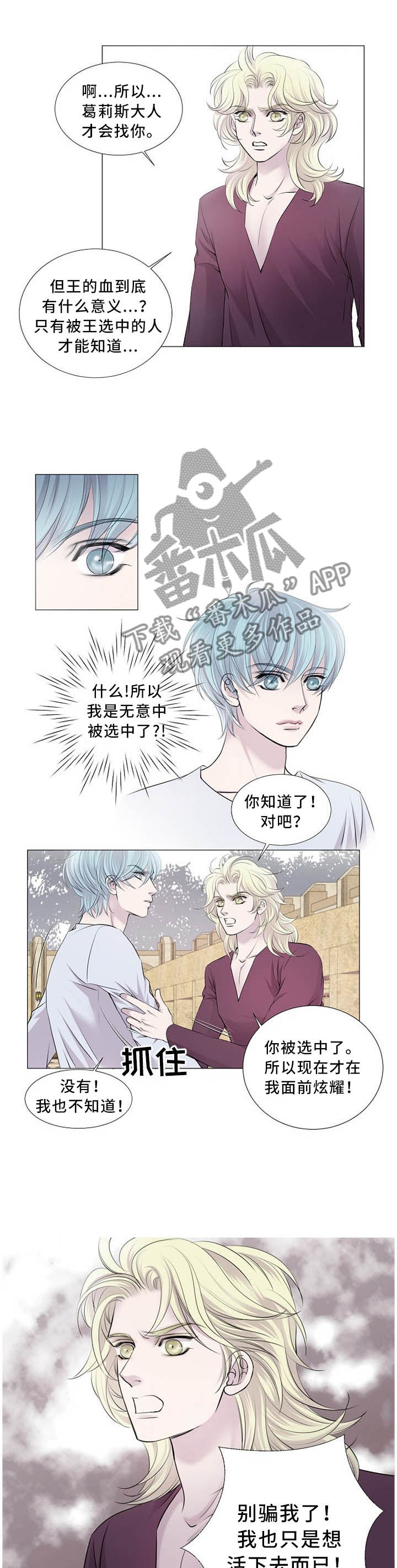 第104章：正确的选择0