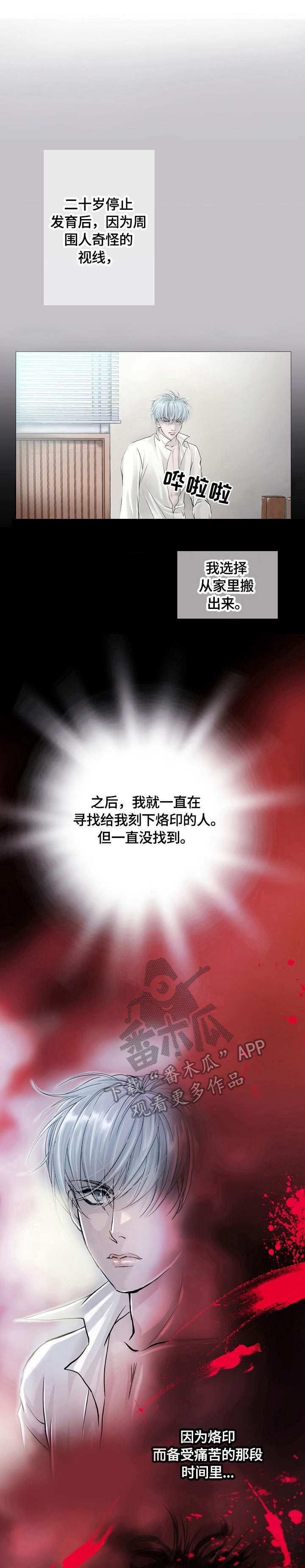 第2章：骑士0