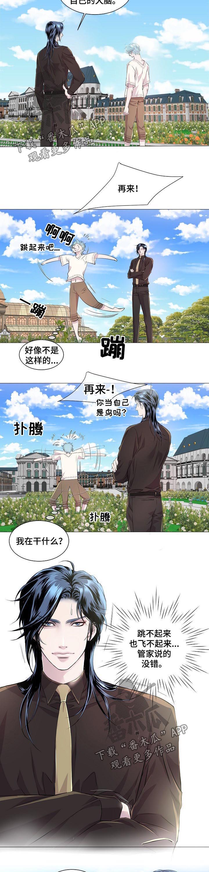 第199章：飞不起来2