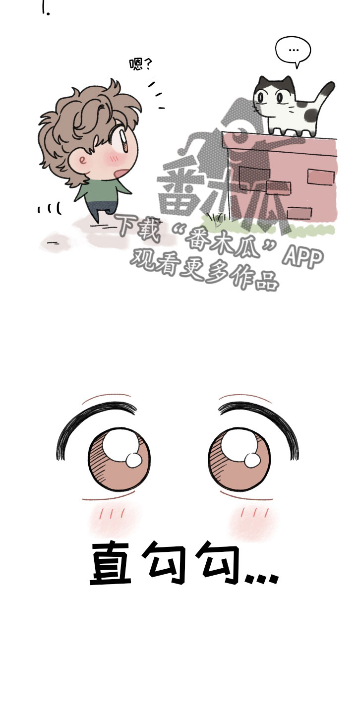 第100章：【特别篇】幻想6