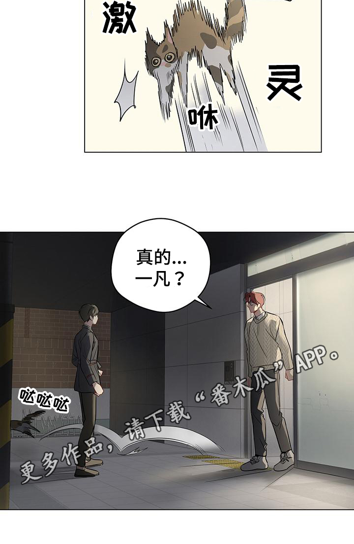 第97章：【第三季】回头16