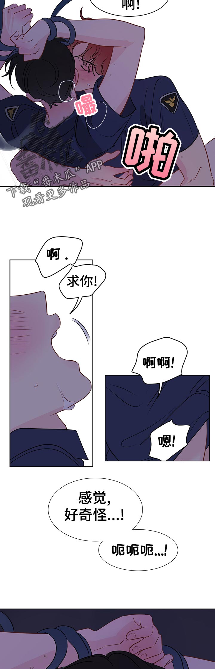第50章：恢复6