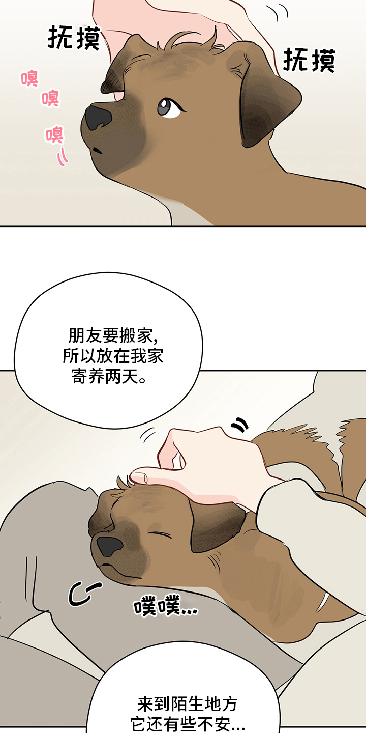 第78章：【第二季】冬柏13