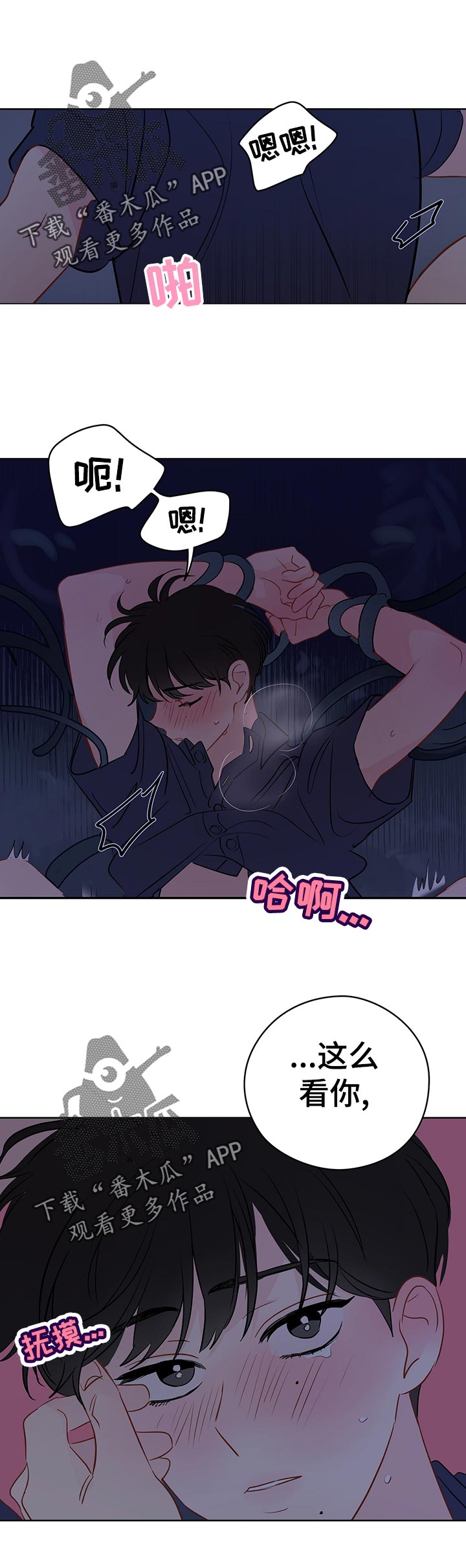 第50章：恢复2
