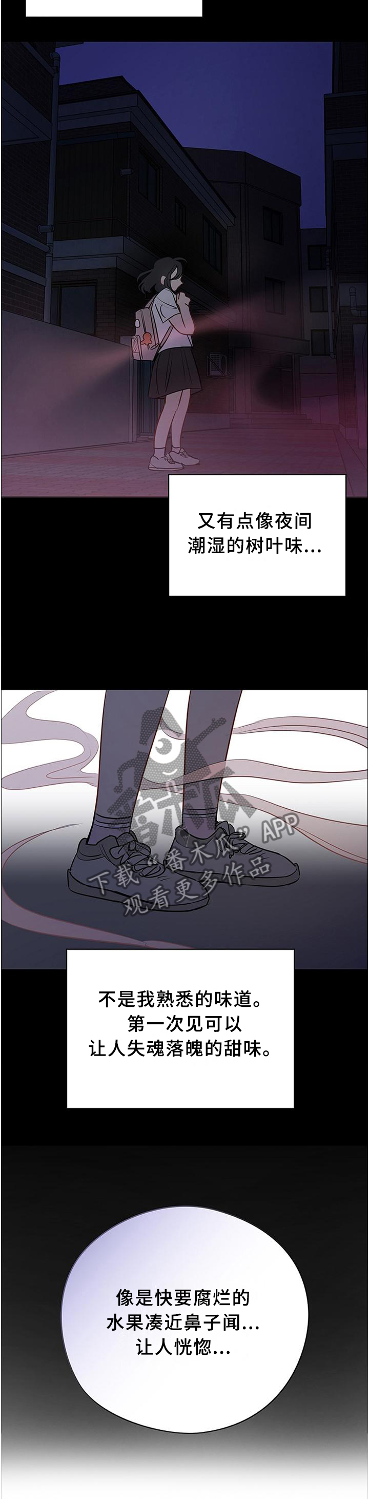 第45章：计划2
