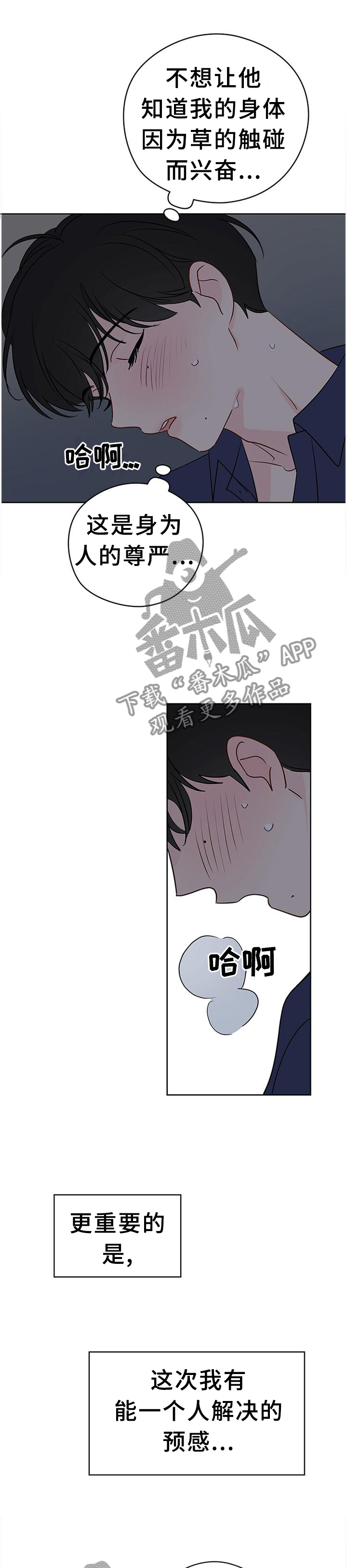 第46章：我只信任你11